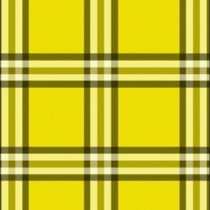 Meet your Posher, Reni